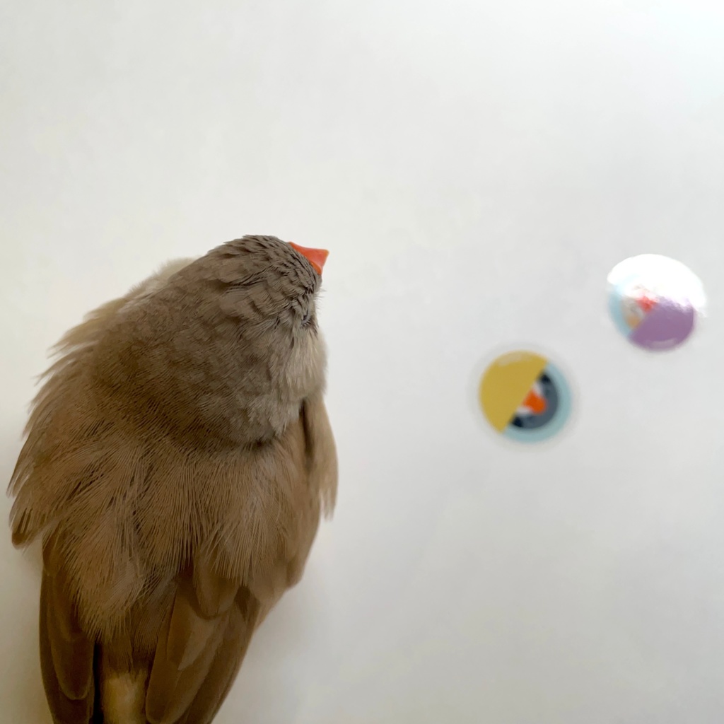 キンカプセルトイ クリアシールセット(Kincapsule Toy Clear Stickers)