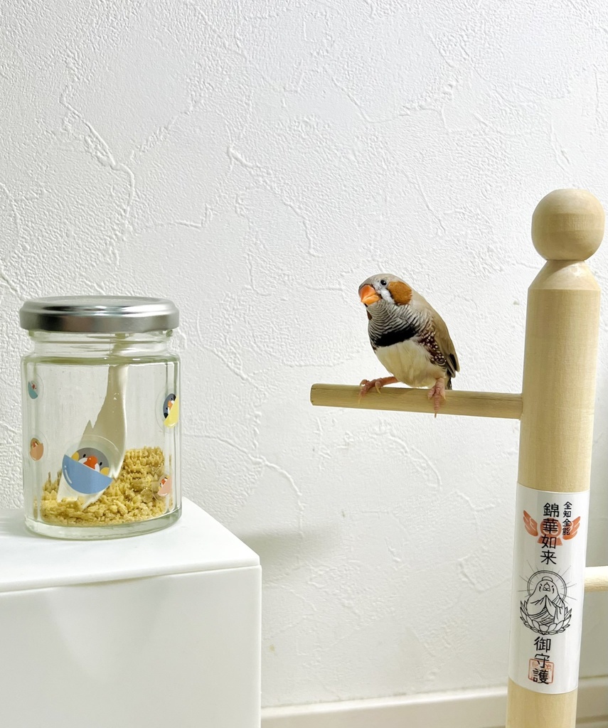 キンカプセルトイ クリアシールセット(Kincapsule Toy Clear Stickers)