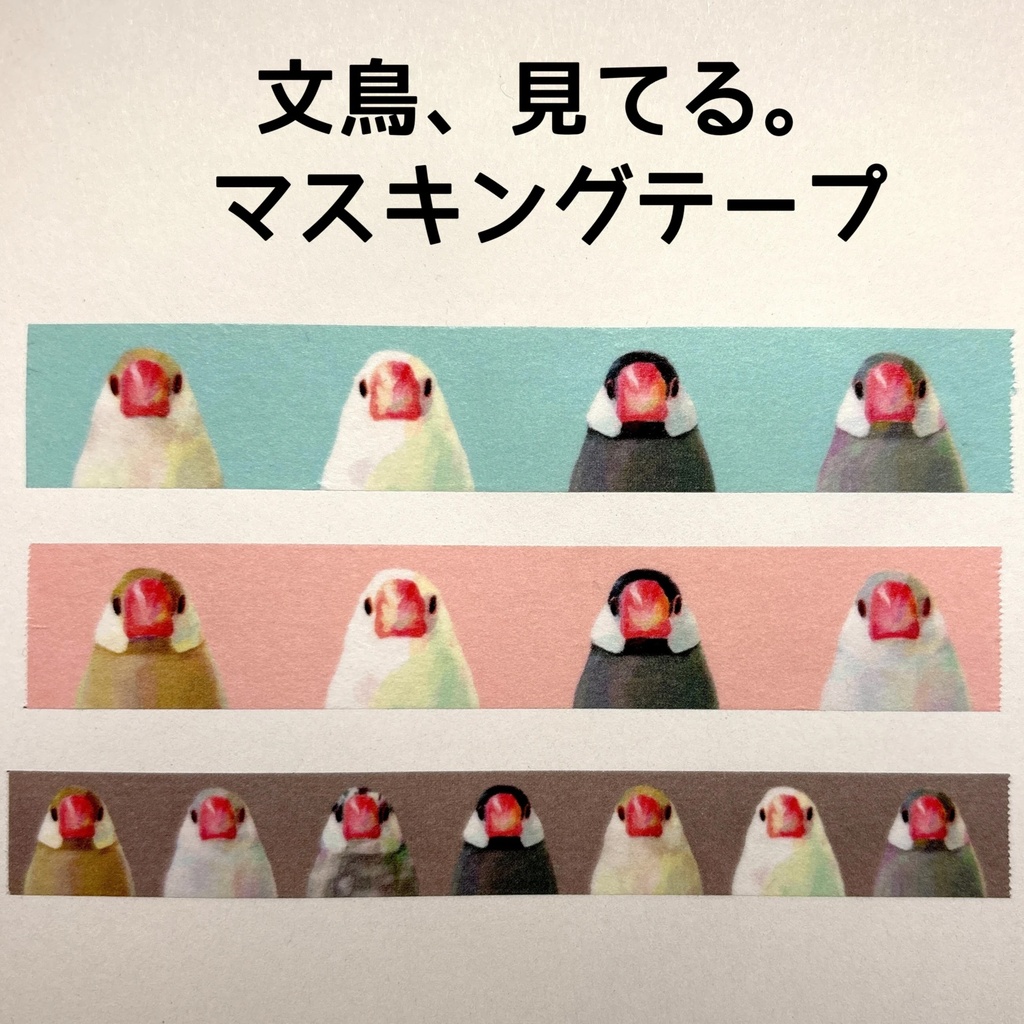 文鳥、見てる。マスキングテープ