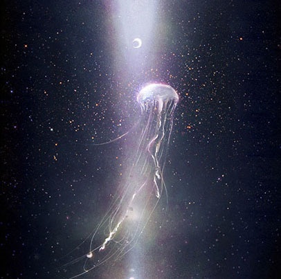 【現品販売】画集「夜虹・夜虹」