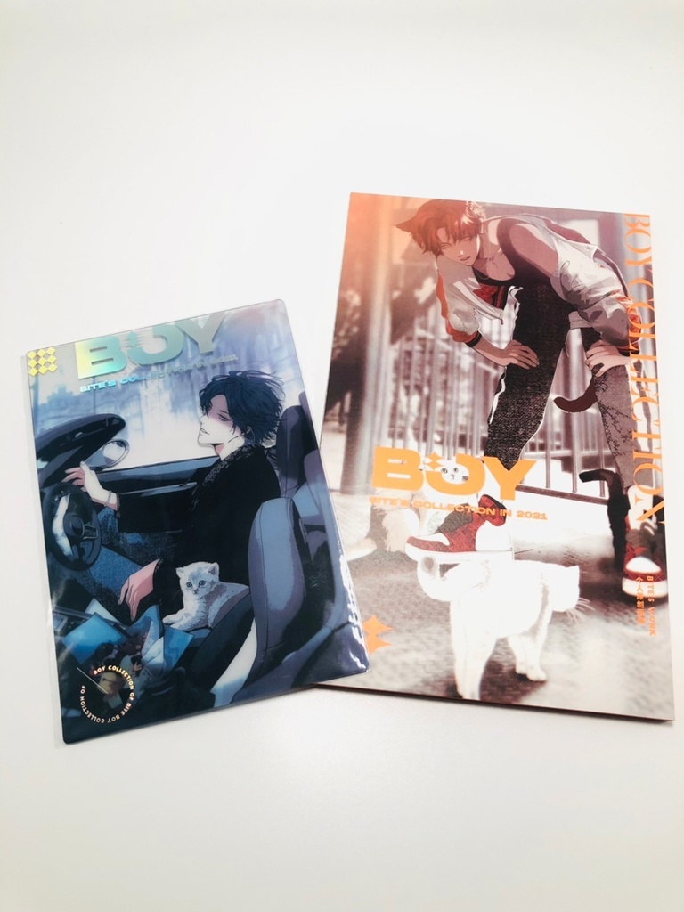 画集・BOY(作家:BITE)