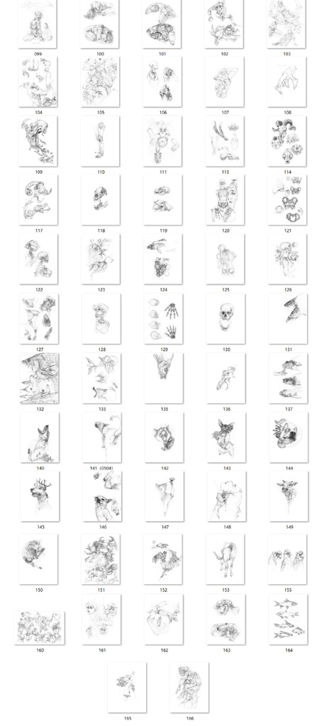 【現品販売】大山画集『山肴』