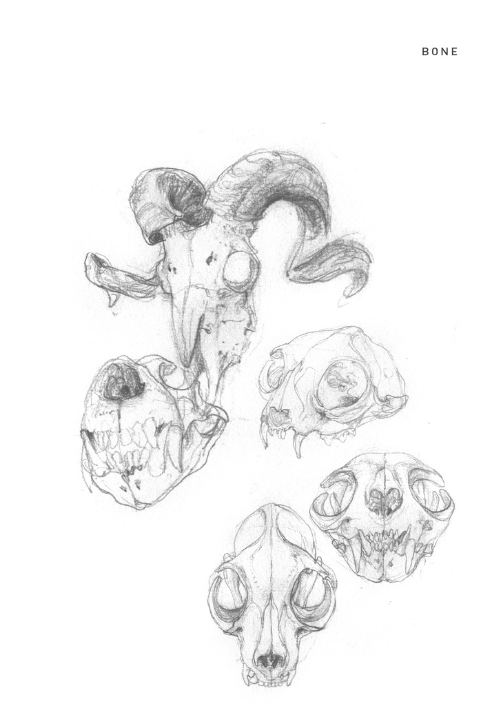 【現品販売】大山画集『山肴』