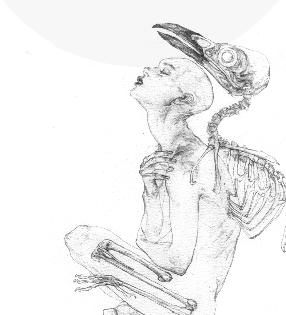 【現品販売】大山画集『山肴』