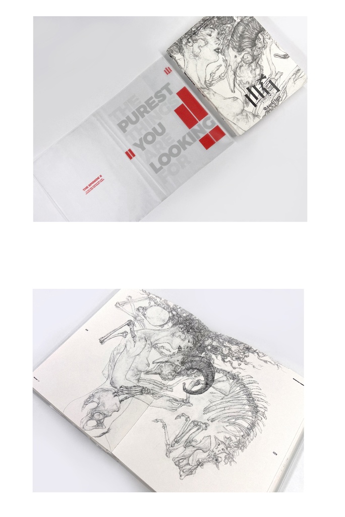 【現品販売】大山画集『山肴』