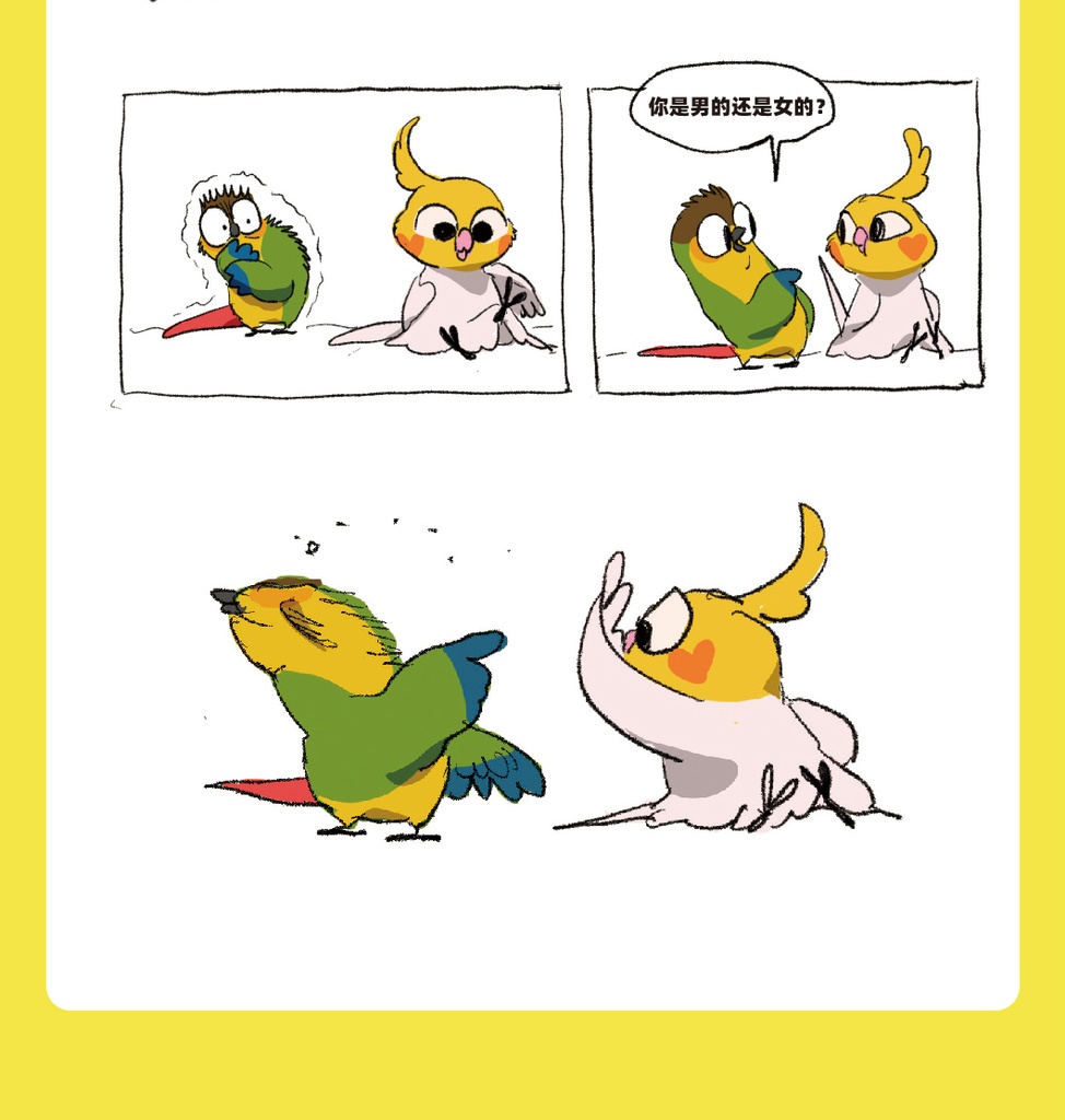 【現品入荷】幺了个菁画集『神煩鳥 』