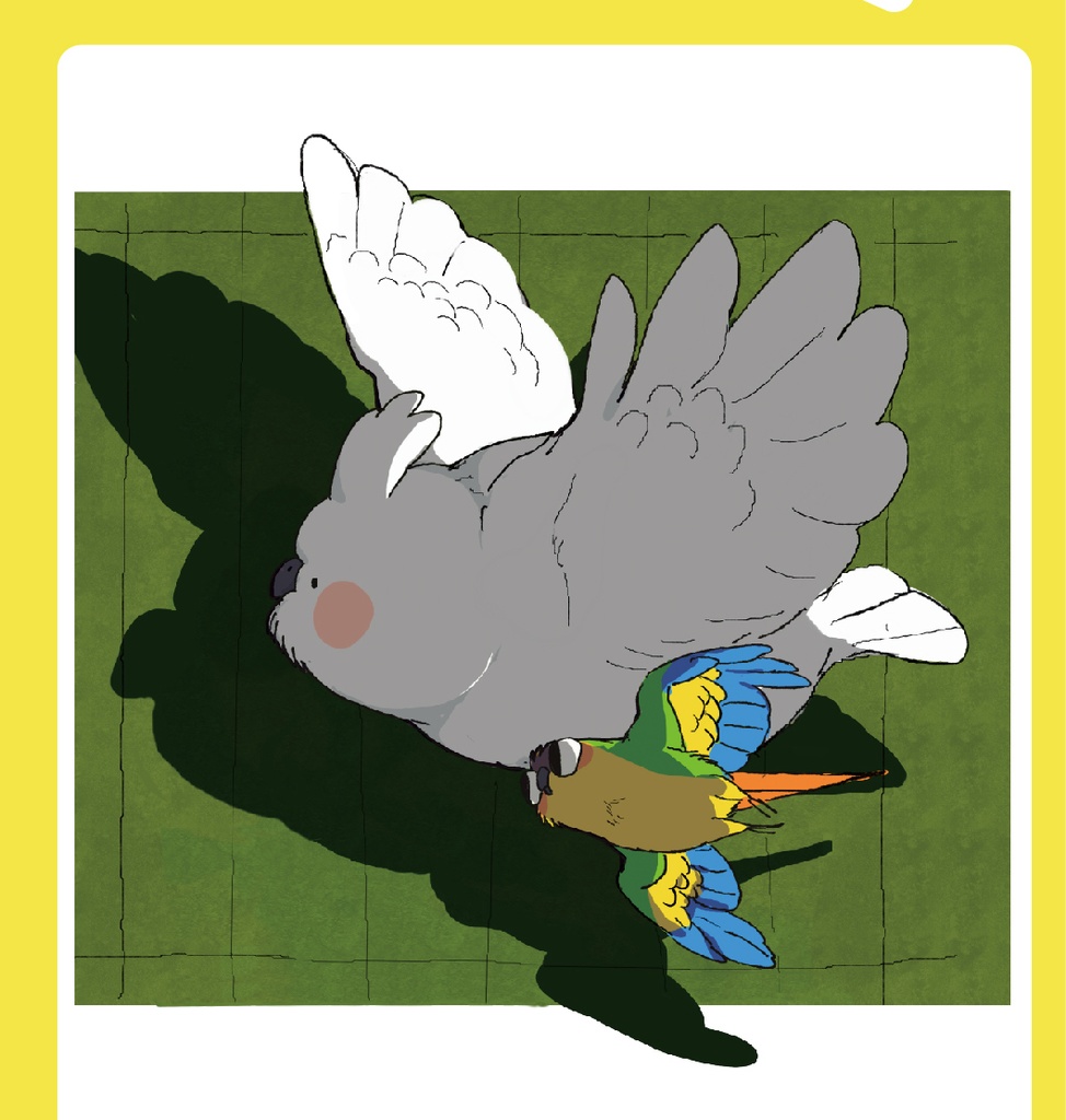 【現品入荷】幺了个菁画集『神煩鳥 』