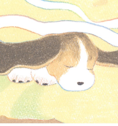 2024現品入荷!『寺岡奈津美「心之犬」』