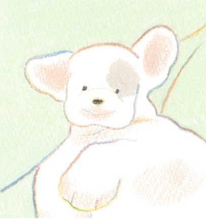 2024現品入荷!『寺岡奈津美「心之犬」』