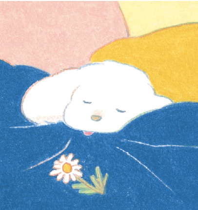 2024現品入荷!『寺岡奈津美「心之犬」』