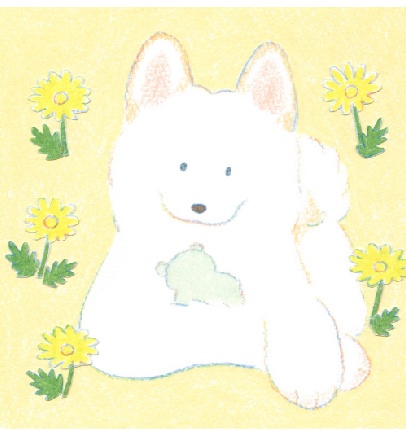 2024現品入荷!『寺岡奈津美「心之犬」』