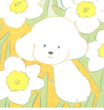 2024現品入荷!『寺岡奈津美「心之犬」』