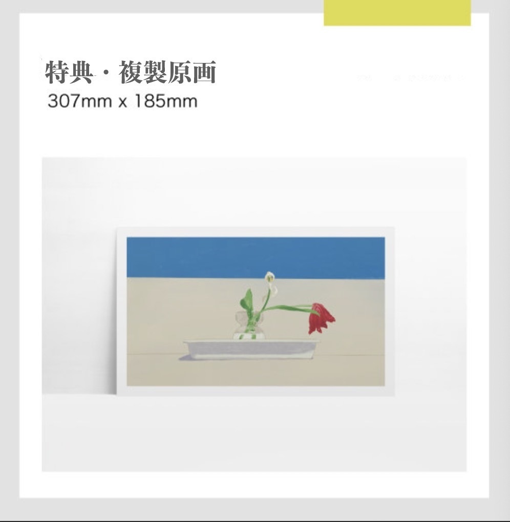 【9月末入荷待ち】Akino画集「秋野」