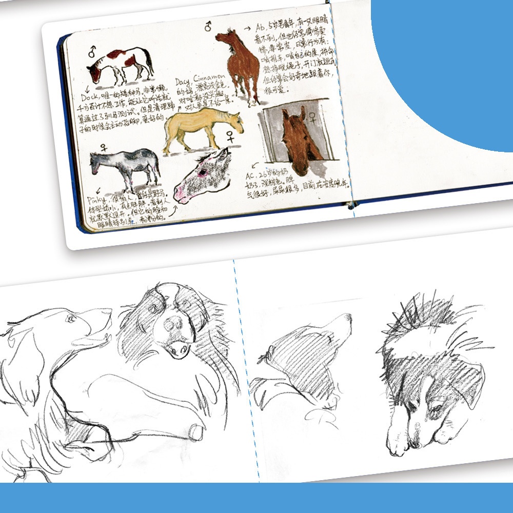 {Deatoo}『牧場日記』創作イラストブック(翻訳つき)+ステッカ特典