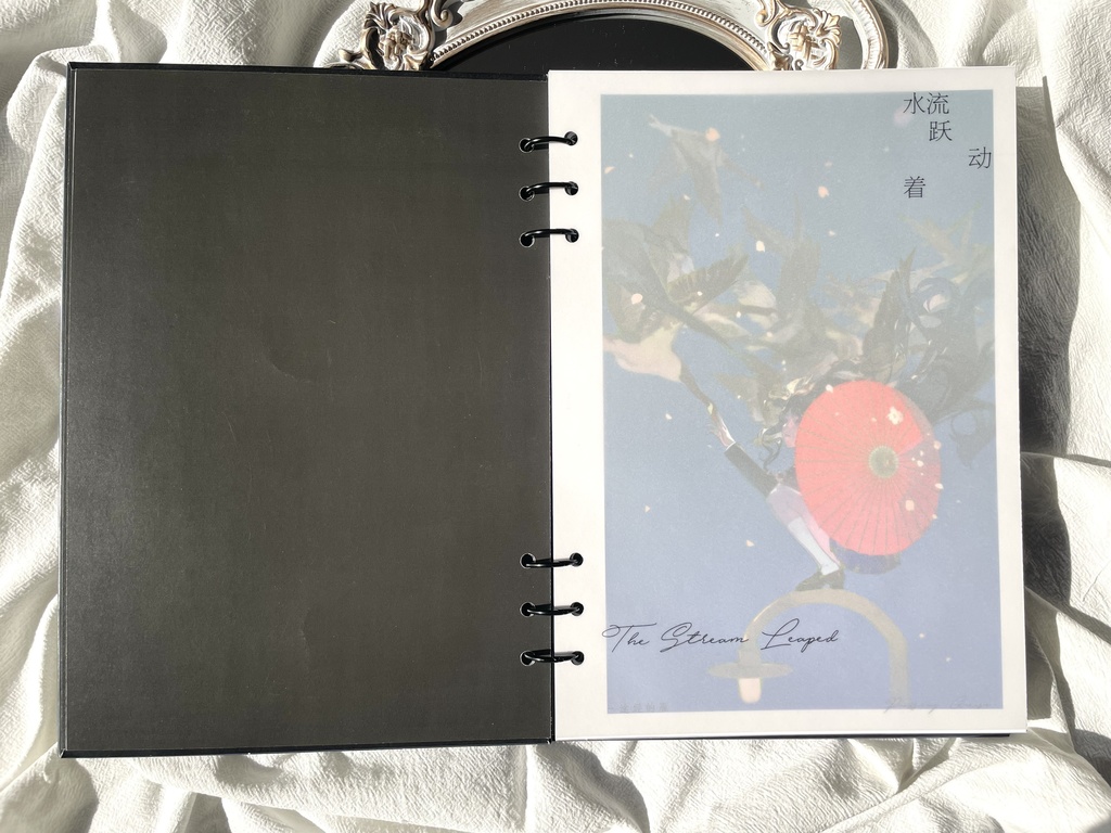 現品{蒸ZHENG}イラスト集『湿淋淋的火』