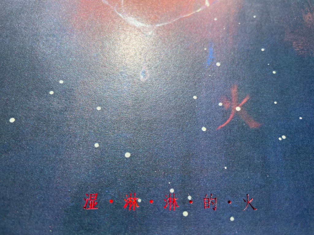 現品{蒸ZHENG}イラスト集『湿淋淋的火』