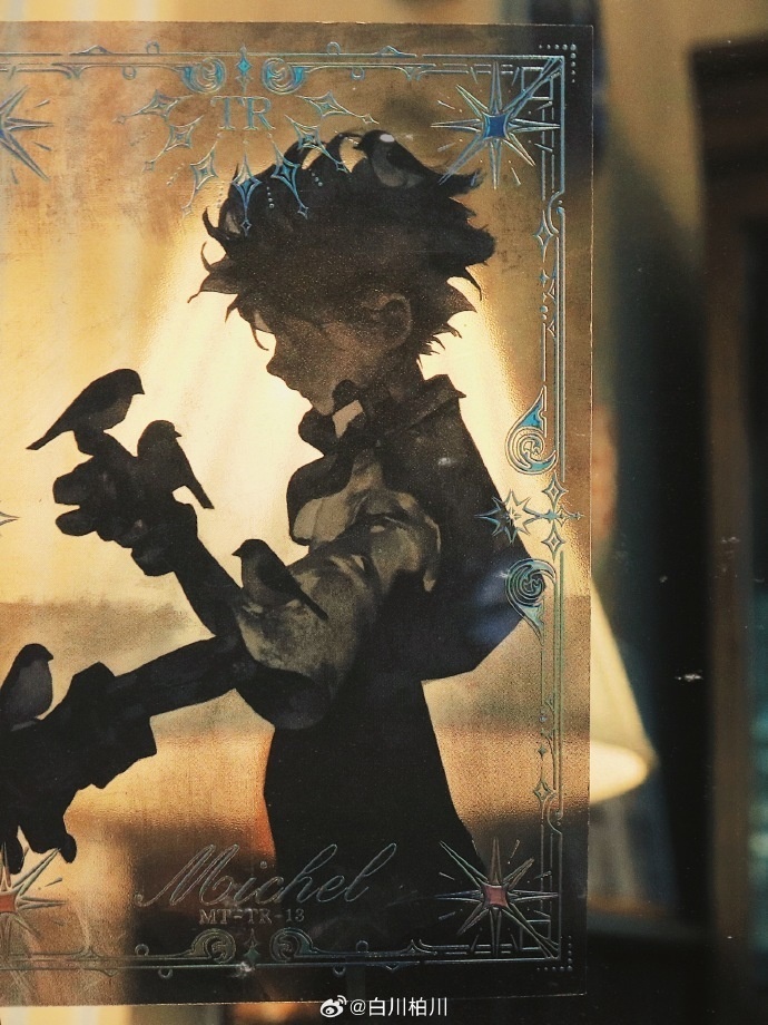 予約販売{白川柏川 }トレカコレクションボックス