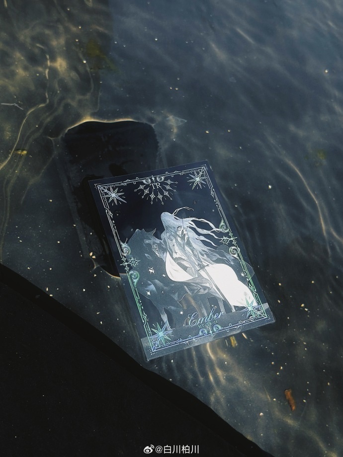 予約販売{白川柏川 }トレカコレクションボックス