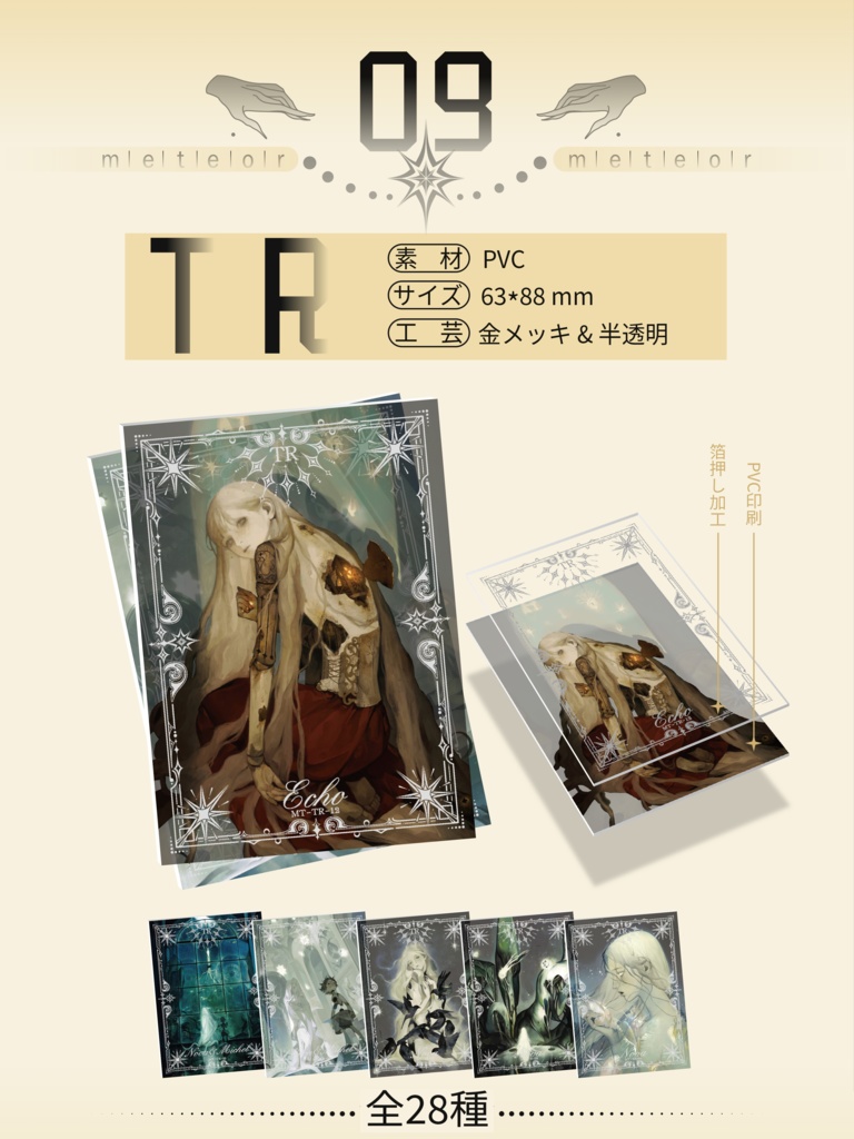 予約販売{白川柏川 }トレカコレクションボックス