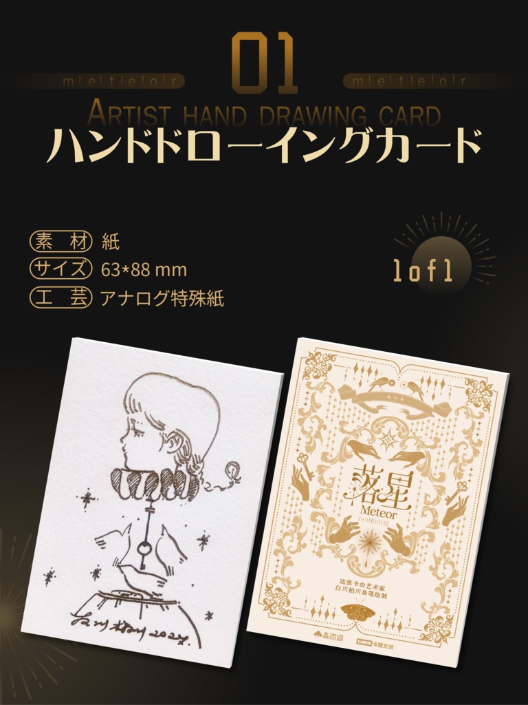 予約販売{白川柏川 }トレカコレクションボックス