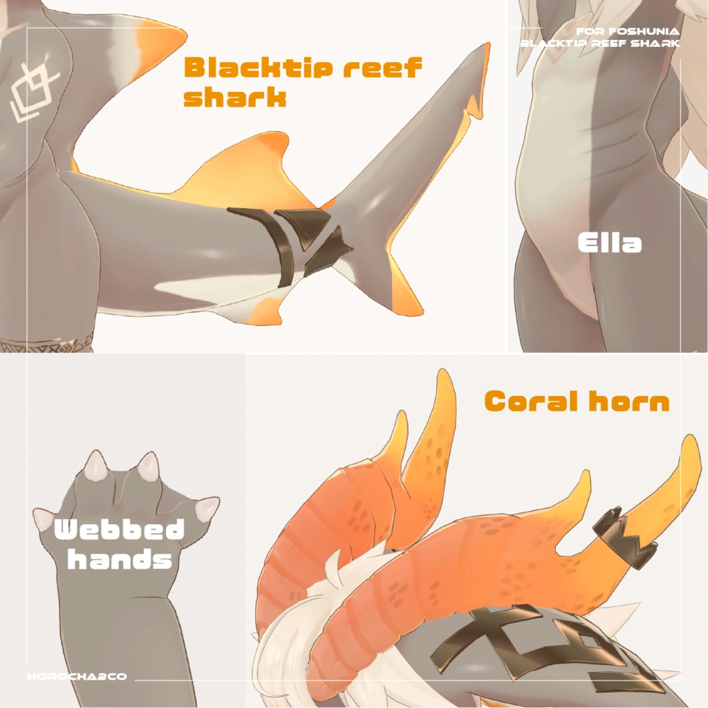 【フォシュニア】ツマグロセット