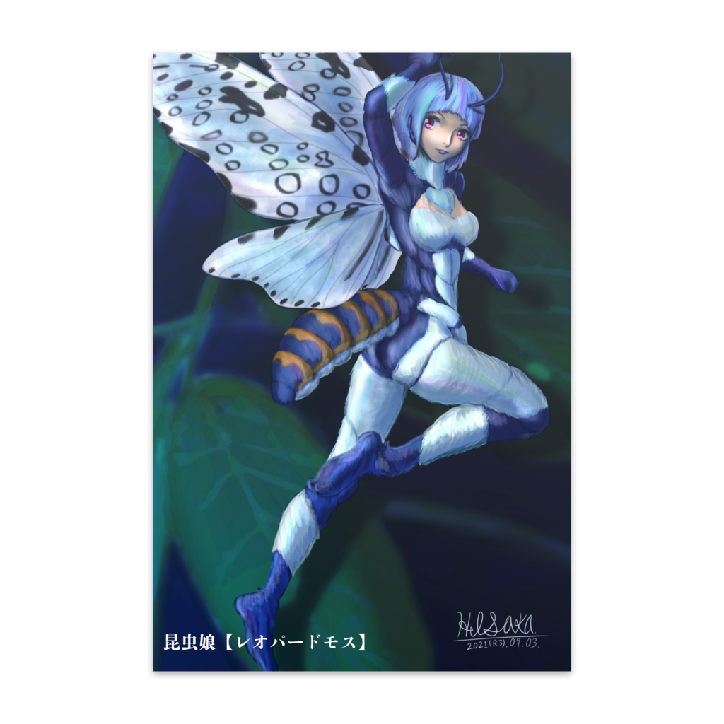 昆虫娘ポストカード