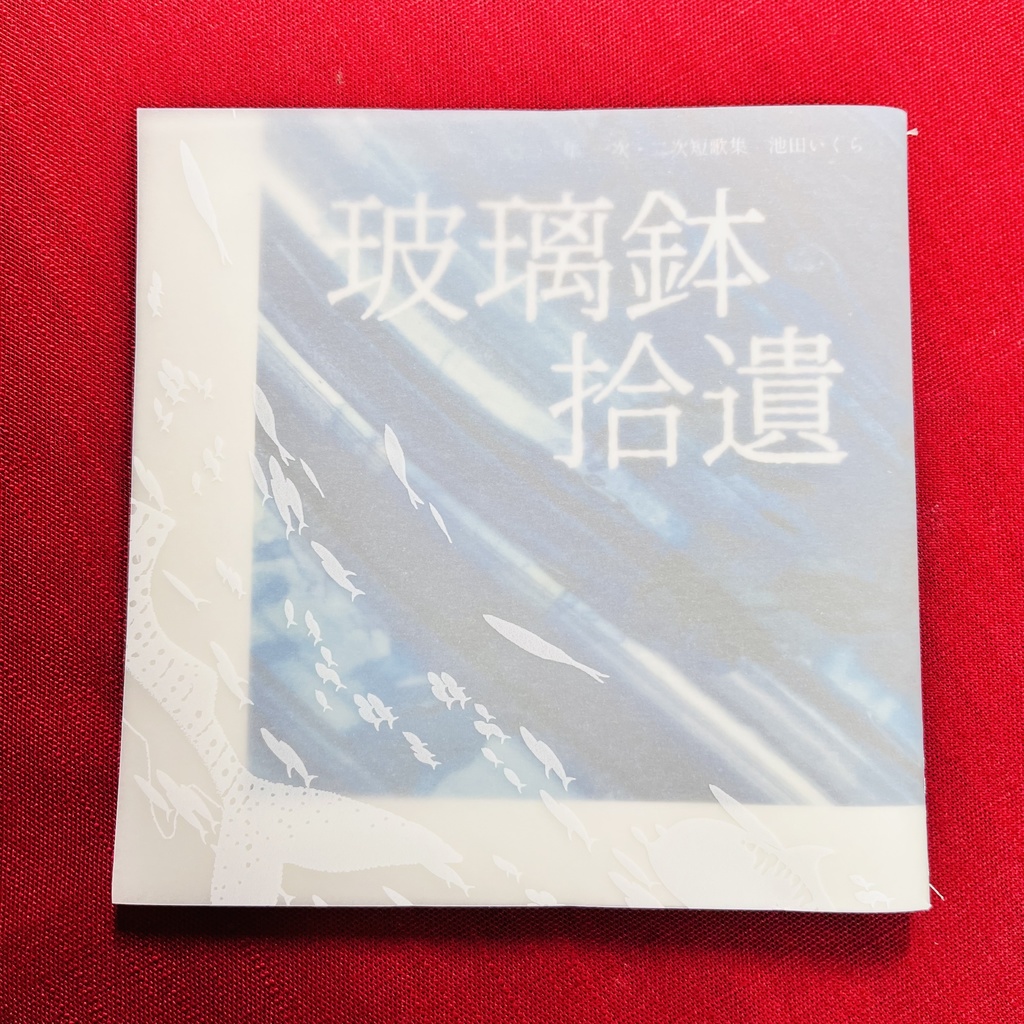 玻璃鉢拾遺
