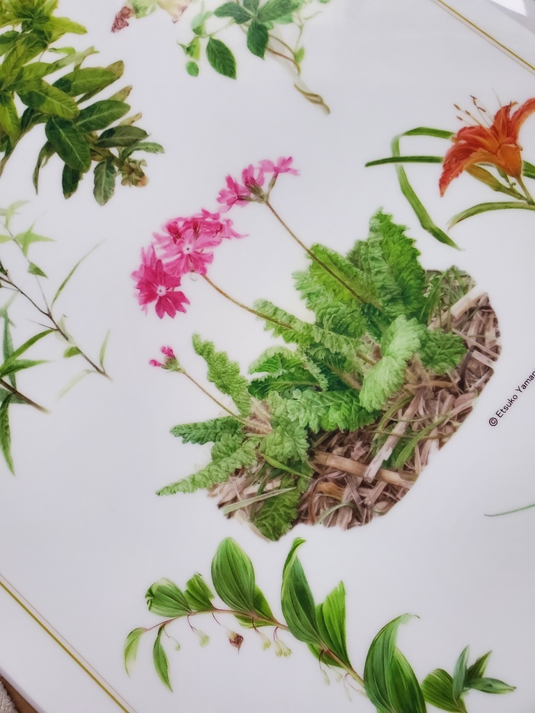 A4クリアファイル「Wild Flowers of Tajimagahara」