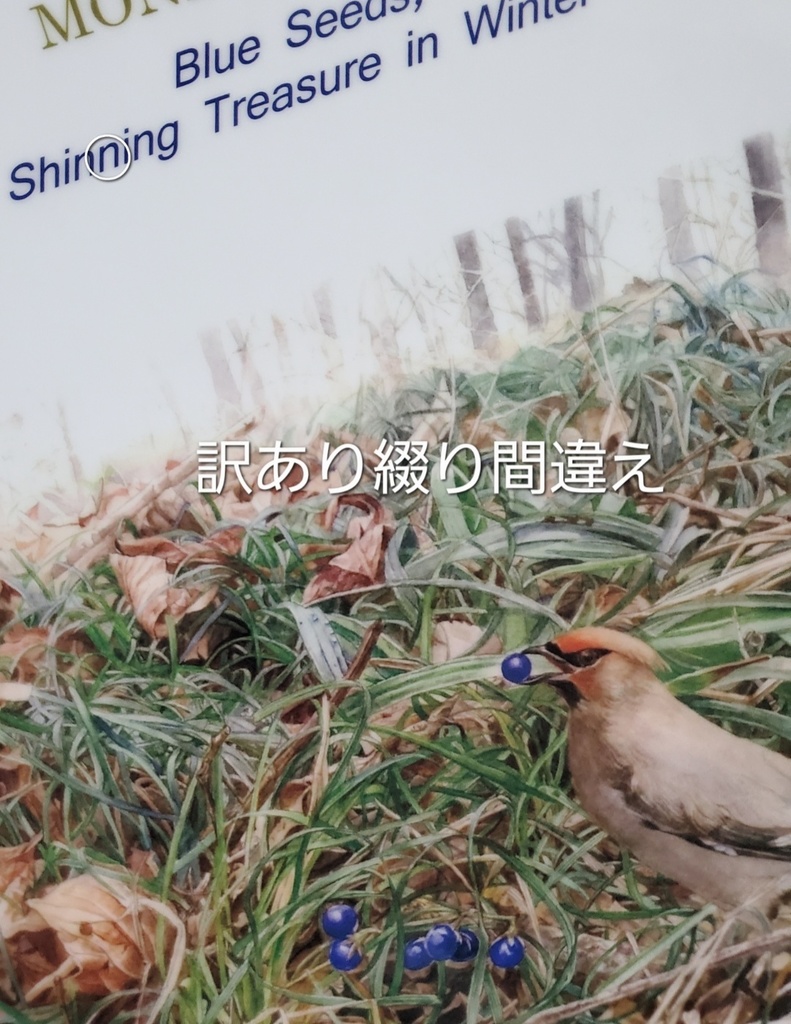 A4クリアファイル訳あり商品「リュウノヒゲとキレンジャク」