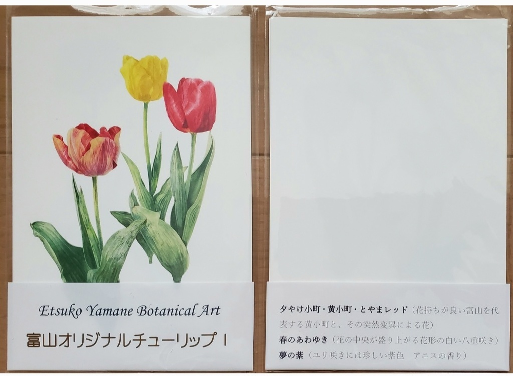 ポストカード3枚セット「富山県産チューリップ」