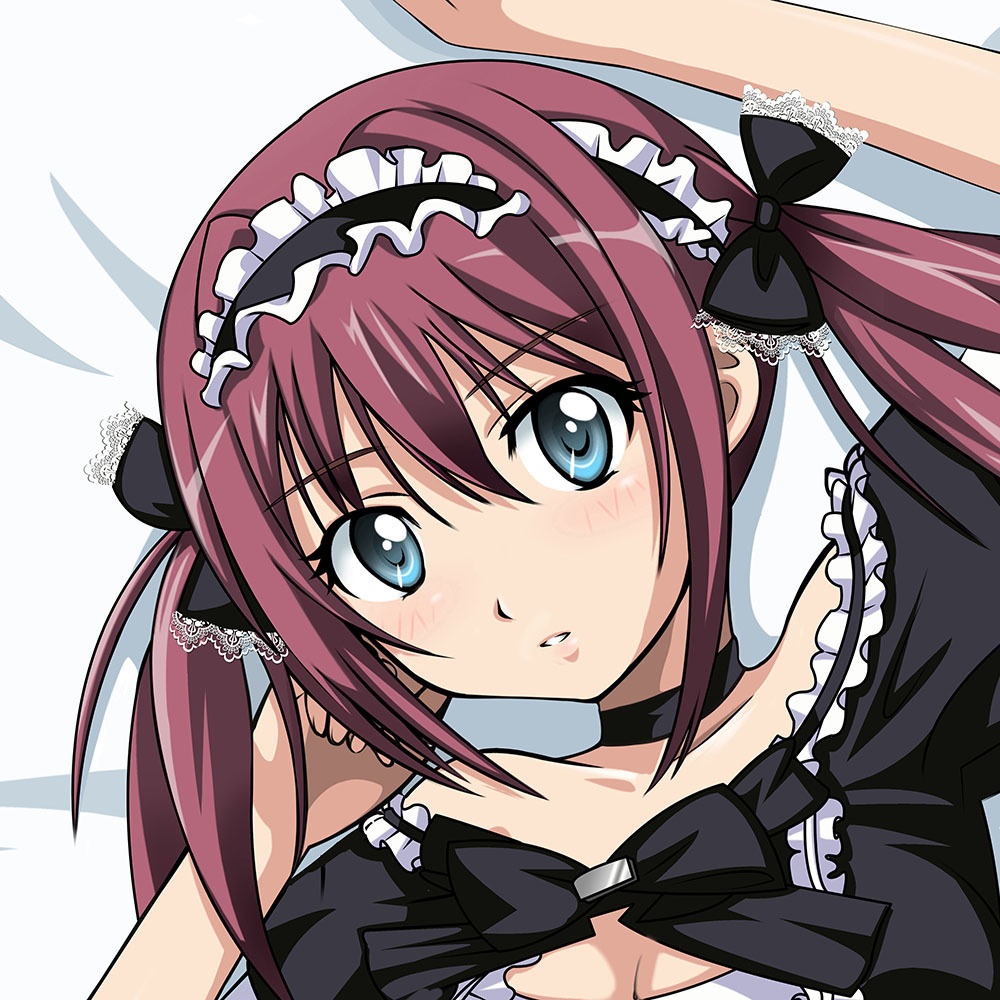 魁屋 クイーンズブレイド 冥土へ誘うもの アイリ 添い寝抱き枕カバー タペストリー