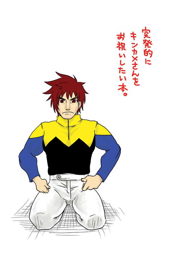 突発的にキンカメさんをお祝いしたい本。
