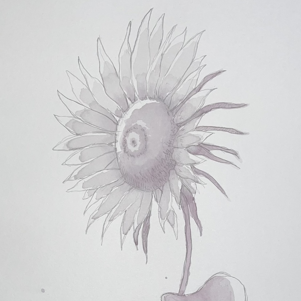 向日葵 ~SUNFLOWER~