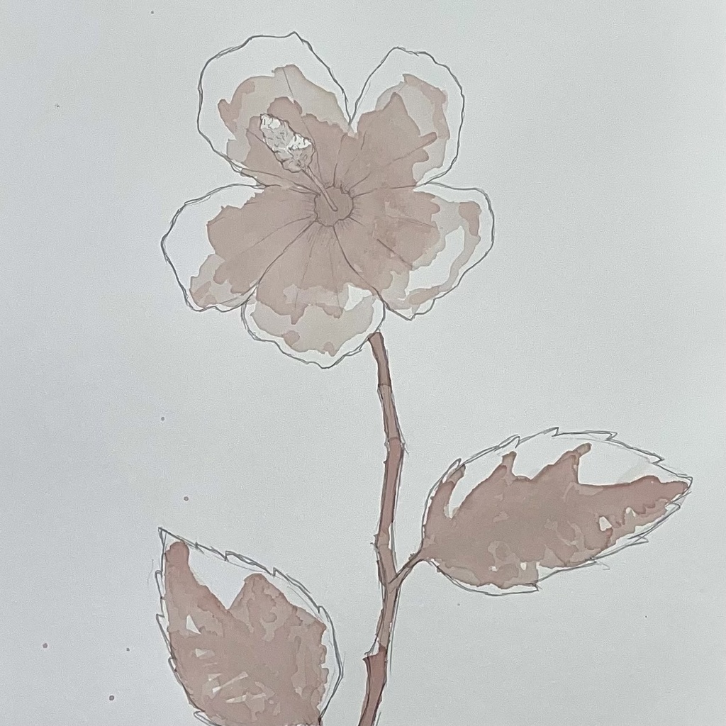 仏桑華 ~HIBISCUS~