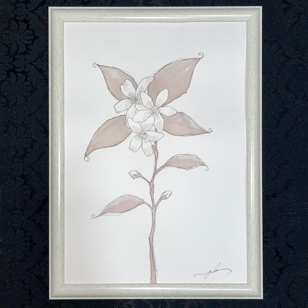 茉莉花 ~JASMINE~