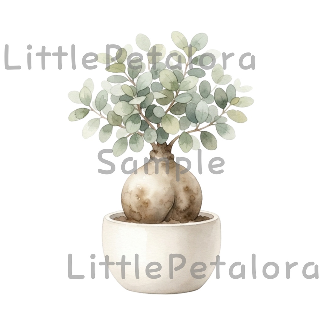 【デジタル素材】観葉植物シリーズのクリップアート20枚セット
