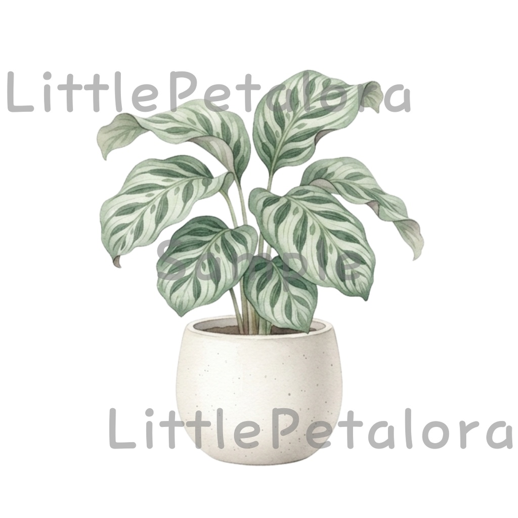 【デジタル素材】観葉植物シリーズのクリップアート20枚セット