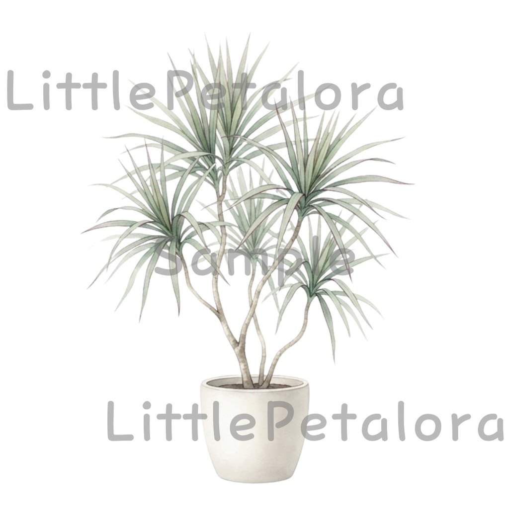 【デジタル素材】観葉植物シリーズのクリップアート20枚セット