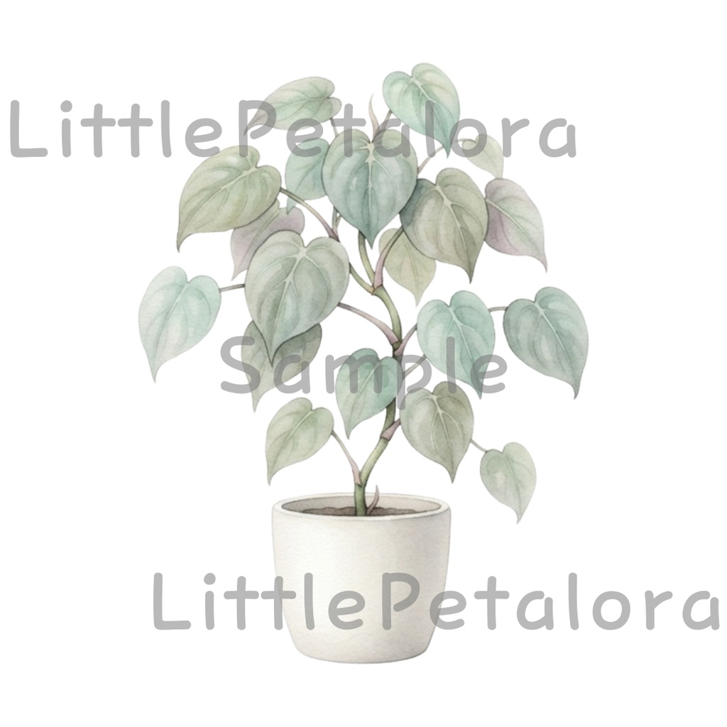 【デジタル素材】観葉植物シリーズのクリップアート20枚セット