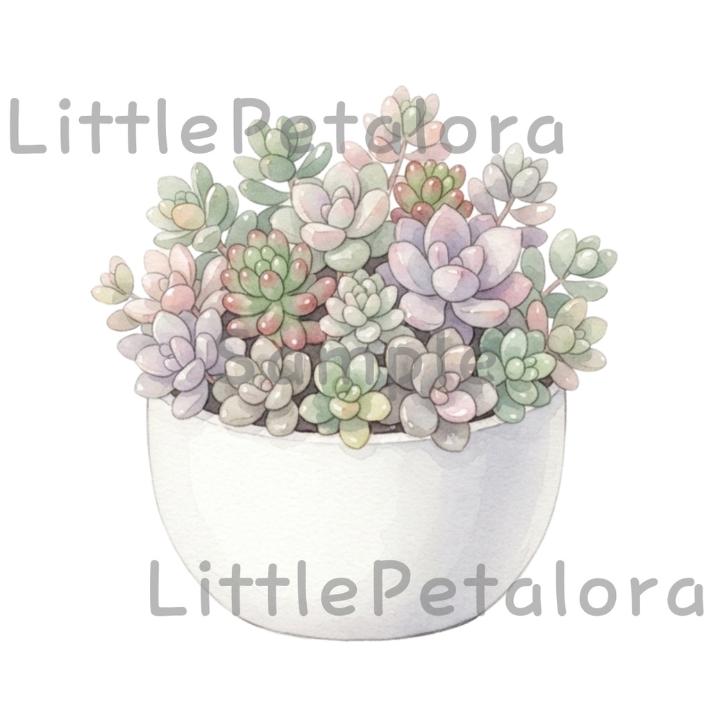 【デジタル素材】寄せ植え多肉植物シリーズのクリップアート10枚セット