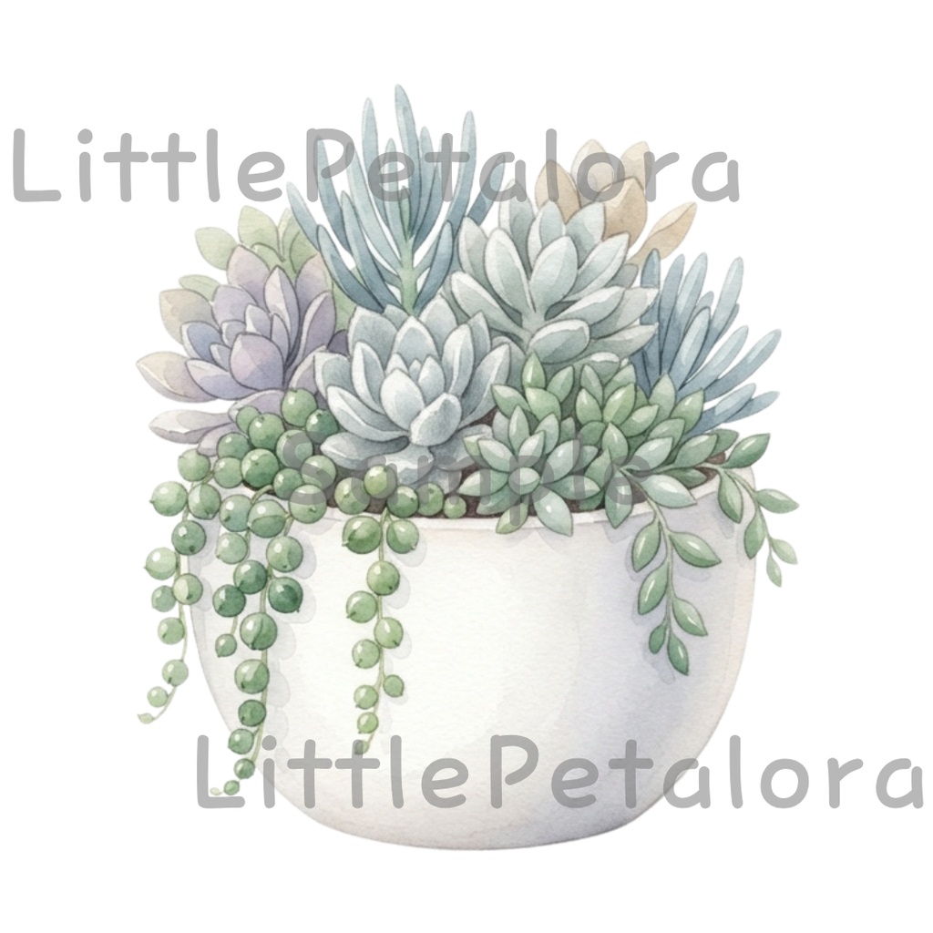 【デジタル素材】寄せ植え多肉植物シリーズのクリップアート10枚セット