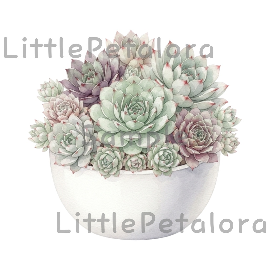 【デジタル素材】寄せ植え多肉植物シリーズのクリップアート10枚セット