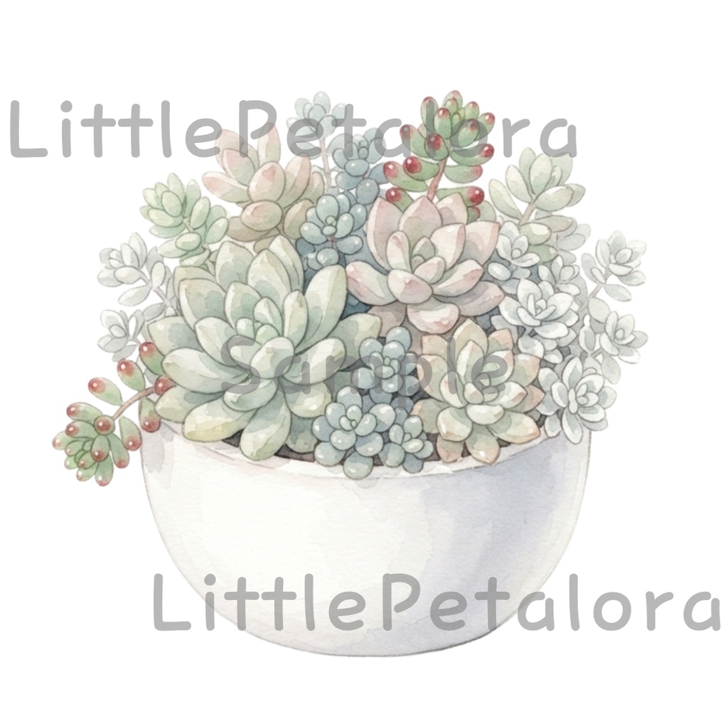 【デジタル素材】寄せ植え多肉植物シリーズのクリップアート10枚セット