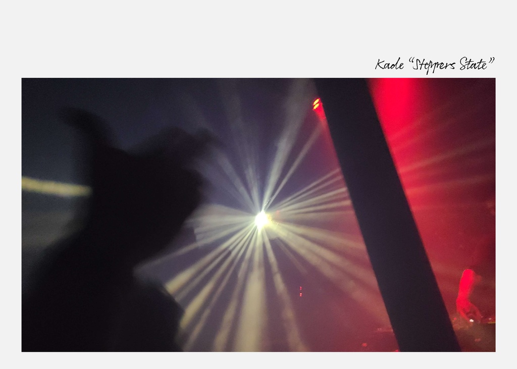 【2nd Full Album】Steppers State [DL版]【M3-秋2025】