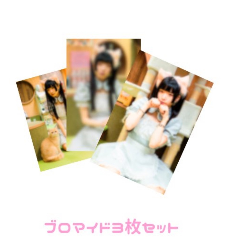 僕猫ブロマイド3種セット
