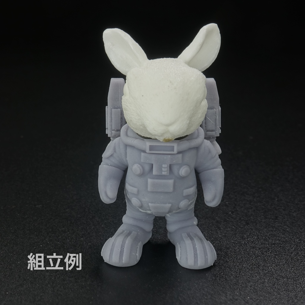 うさぎの宇宙飛行士「USAUSA」