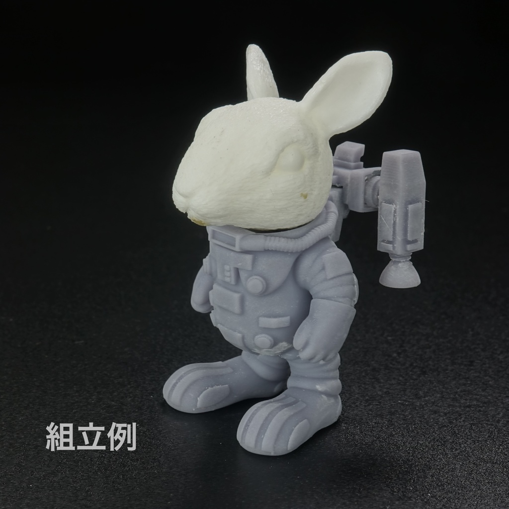 うさぎの宇宙飛行士「USAUSA」