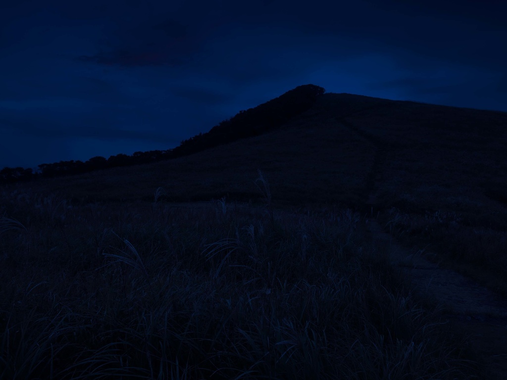 背景フリー素材【4】草原だらけ