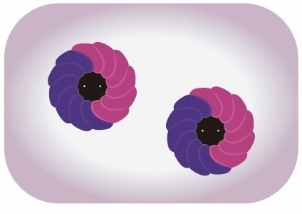 にじさんじ 不破湊 ふわっちクルーラー イメージピアス イヤリング