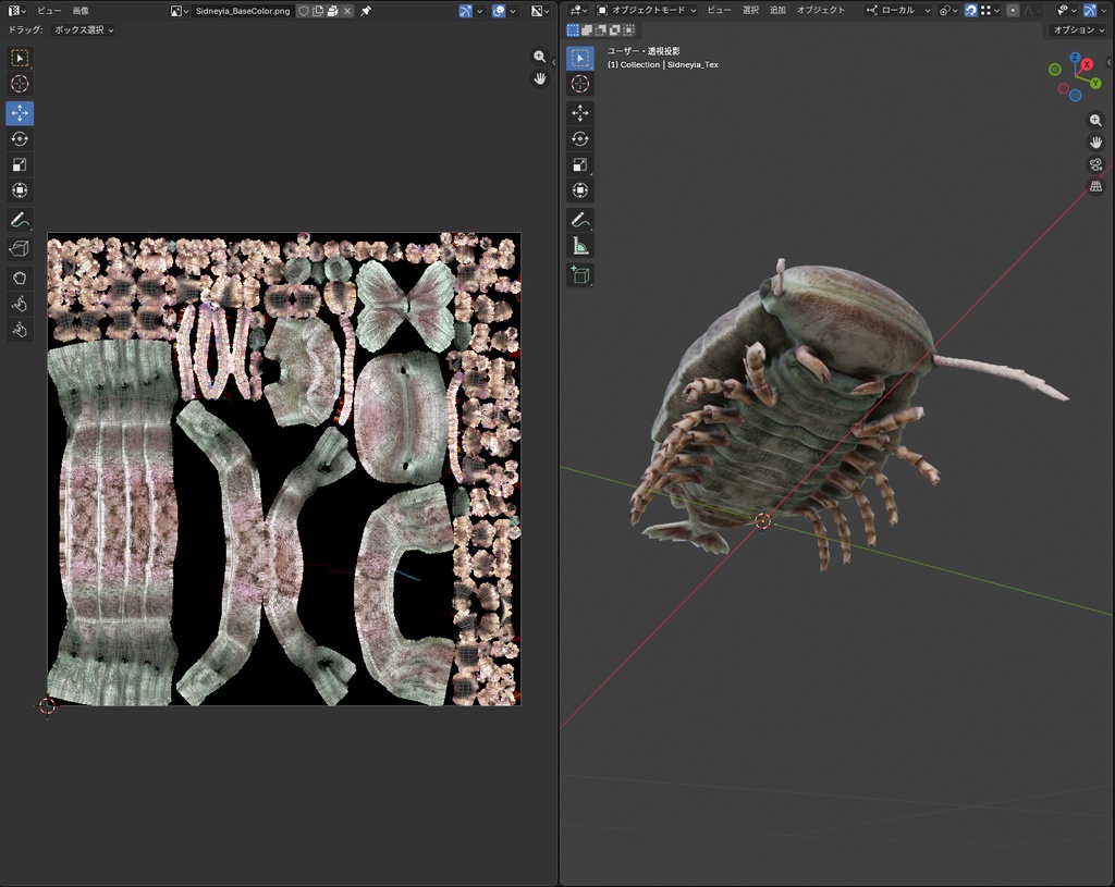 【3Dモデル】シドネイア(PBRテクスチャ・フルセット)